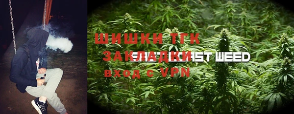 мдпв Алзамай